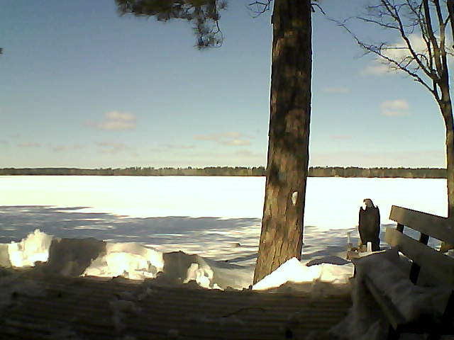 Whiteface Cam Image - Thu, 03/08/2018 11:29am 