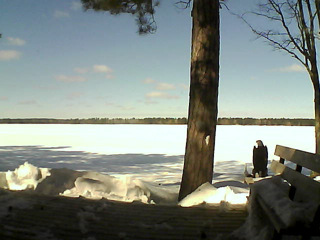 Whiteface Cam Image - Thu, 03/08/2018 11:39am 