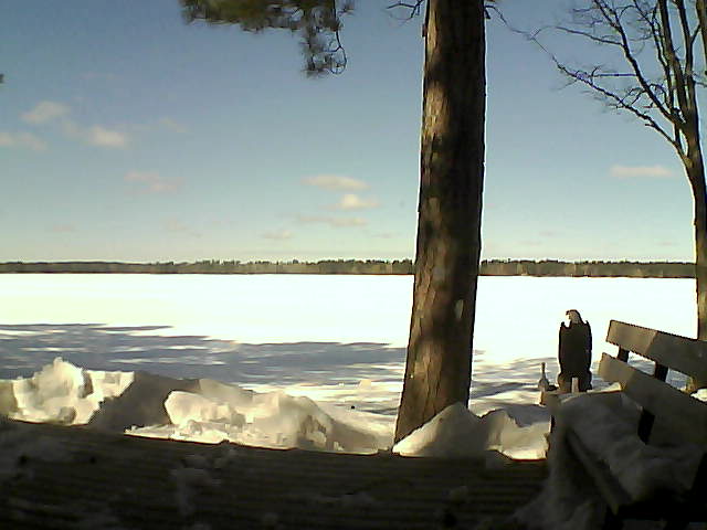 Whiteface Cam Image - Thu, 03/08/2018 11:49am 