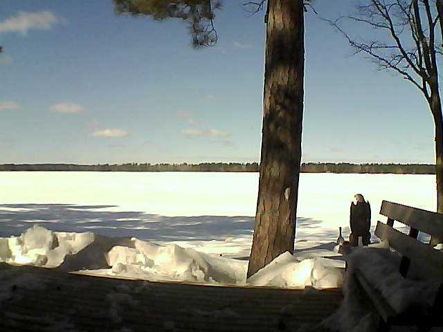 Whiteface Cam Image - Thu, 03/08/2018 11:59am 