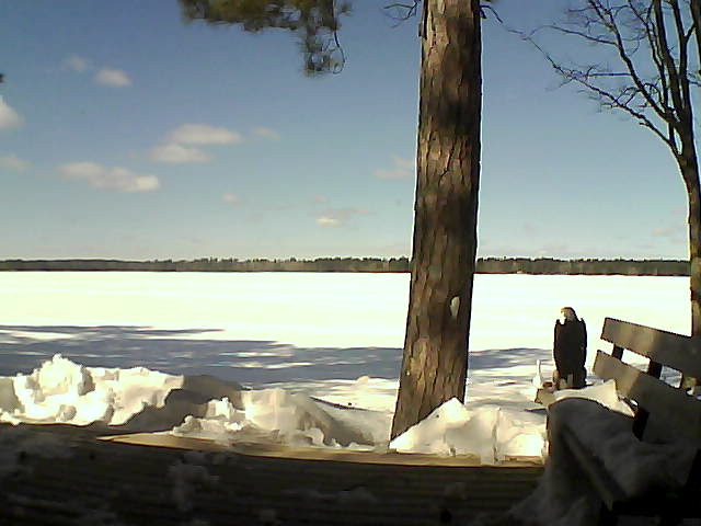 Whiteface Cam Image - Thu, 03/08/2018 12:19pm 