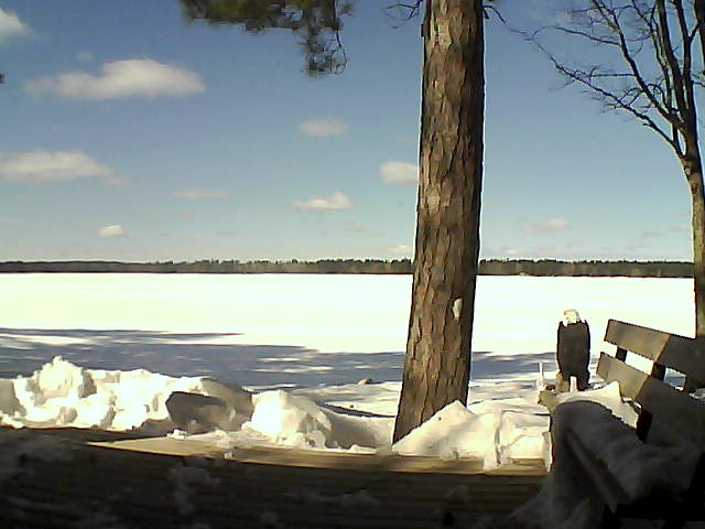 Whiteface Cam Image - Thu, 03/08/2018 12:29pm 