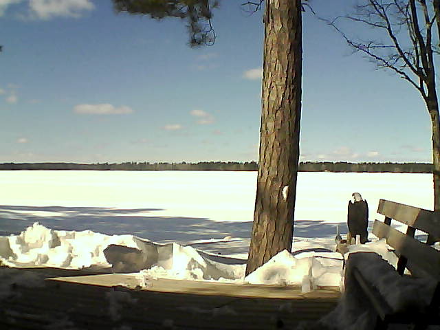 Whiteface Cam Image - Thu, 03/08/2018 12:39pm 