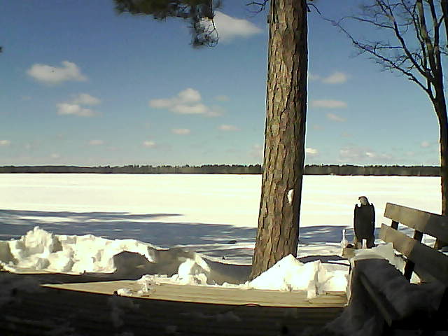 Whiteface Cam Image - Thu, 03/08/2018 12:49pm 