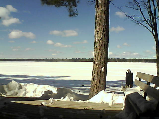 Whiteface Cam Image - Thu, 03/08/2018 12:59pm 