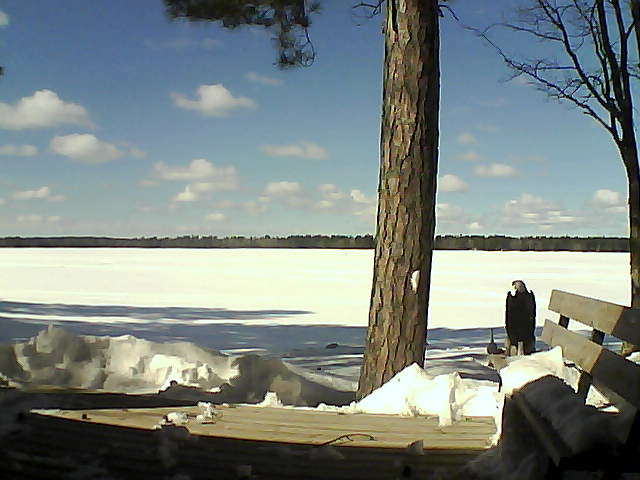 Whiteface Cam Image - Thu, 03/08/2018 1:09pm 