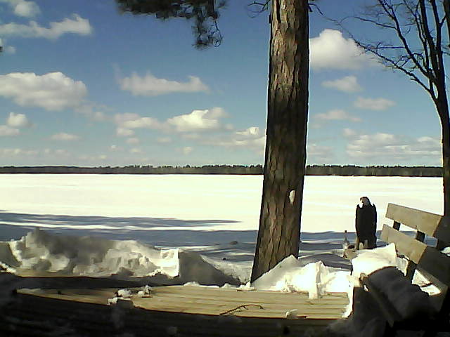 Whiteface Cam Image - Thu, 03/08/2018 1:19pm 