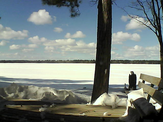 Whiteface Cam Image - Thu, 03/08/2018 1:29pm 