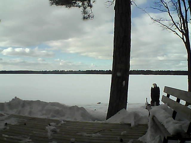 Whiteface Cam Image - Thu, 03/08/2018 2:29pm 