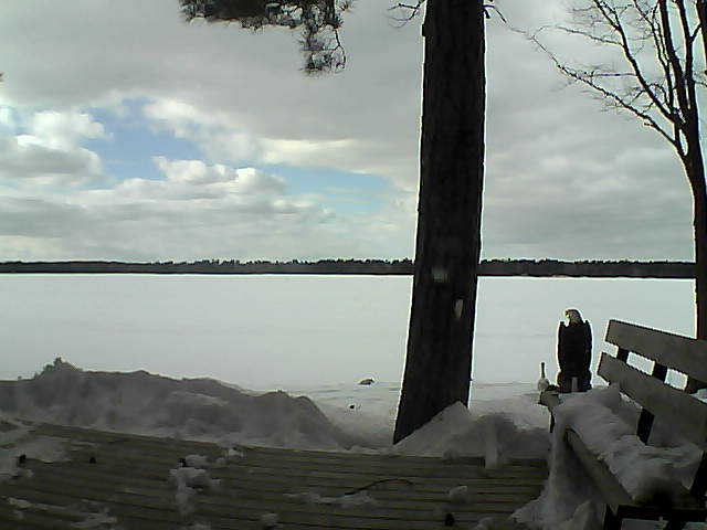 Whiteface Cam Image - Thu, 03/08/2018 2:59pm 