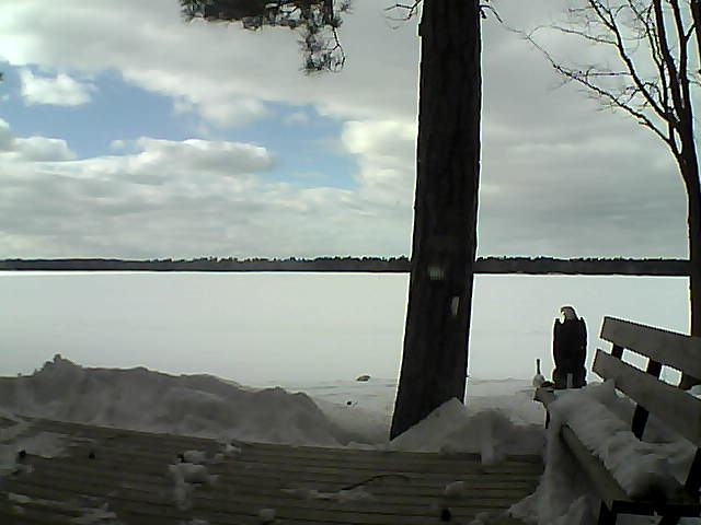 Whiteface Cam Image - Thu, 03/08/2018 3:09pm 