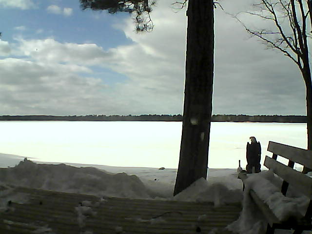 Whiteface Cam Image - Thu, 03/08/2018 3:19pm 