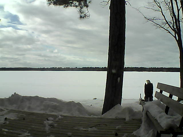 Whiteface Cam Image - Thu, 03/08/2018 3:29pm 