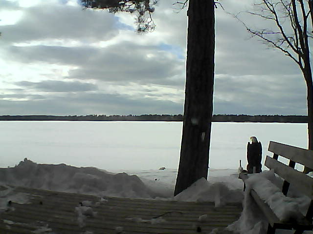 Whiteface Cam Image - Thu, 03/08/2018 4:19pm 