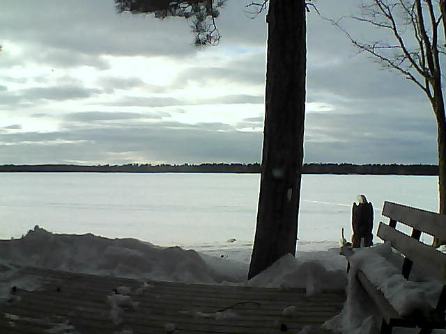 Whiteface Cam Image - Thu, 03/08/2018 4:49pm 