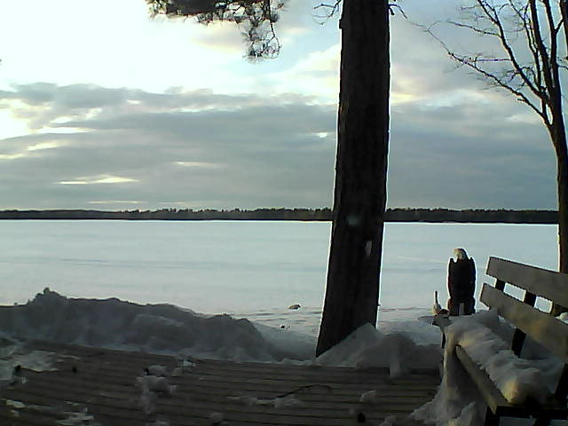 Whiteface Cam Image - Thu, 03/08/2018 5:39pm 