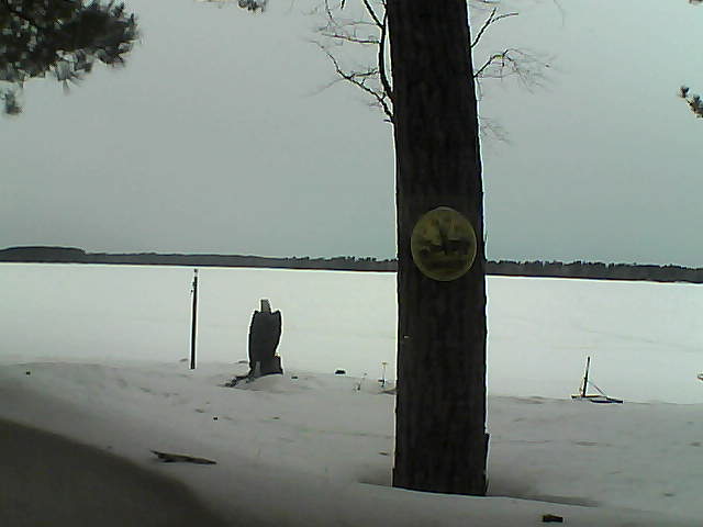 Whiteface Cam Image - Sun, 03/11/2018 7:45am 