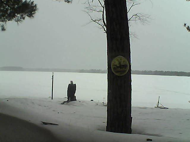 Whiteface Cam Image - Sun, 03/11/2018 8:15am 