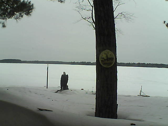 Whiteface Cam Image - Sun, 03/11/2018 9:55am 