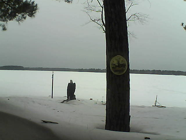 Whiteface Cam Image - Sun, 03/11/2018 10:35am 