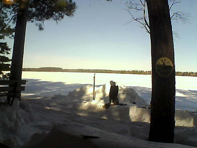 Whiteface Cam Image - Fri, 03/23/2018 9:25am 