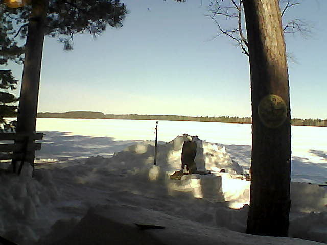 Whiteface Cam Image - Fri, 03/23/2018 9:35am 