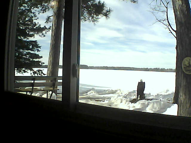 Whiteface Cam Image - Sat, 03/24/2018 1:42pm 