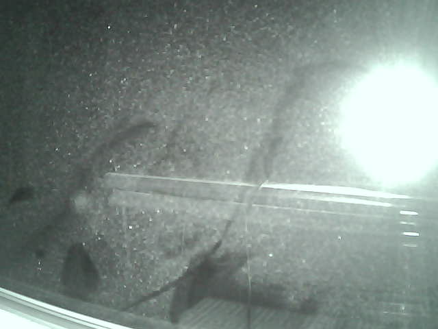 Whiteface Cam Image - Thu, 04/05/2018 3:25am 