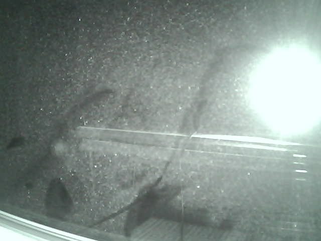 Whiteface Cam Image - Fri, 04/06/2018 1:15am 