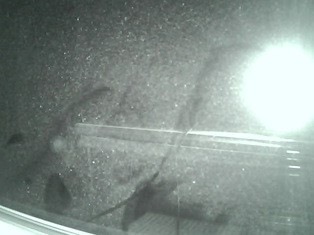 Whiteface Cam Image - Fri, 04/06/2018 2:56am 