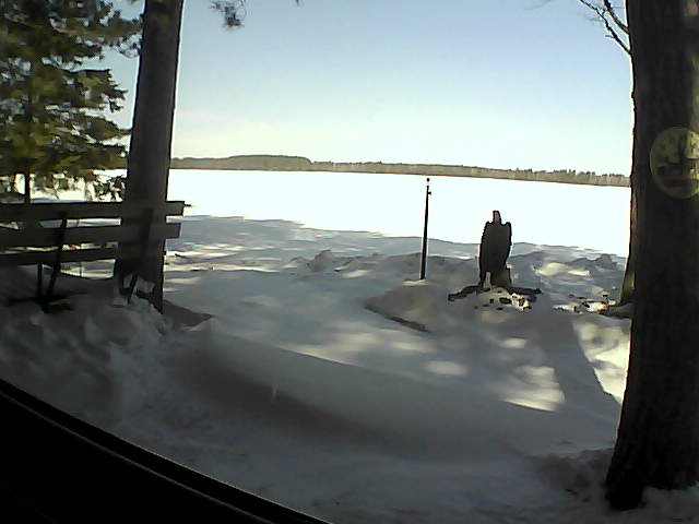 Whiteface Cam Image - Sun, 04/08/2018 9:55am 