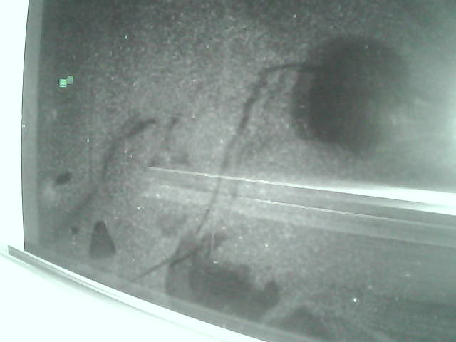 Whiteface Cam Image - Mon, 04/09/2018 11:40pm 