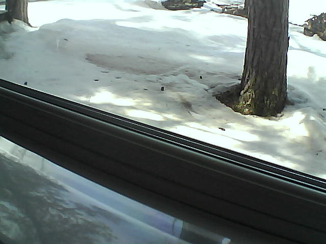 Whiteface Cam Image - Fri, 04/20/2018 3:20pm 