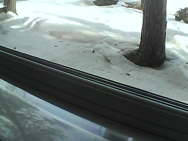 Whiteface Cam Image - Fri, 04/20/2018 3:30pm 