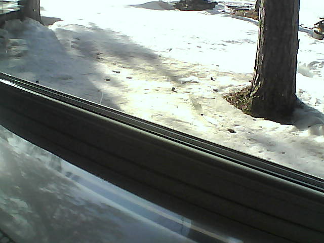 Whiteface Cam Image - Fri, 04/20/2018 6:00pm 