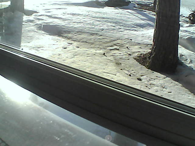 Whiteface Cam Image - Fri, 04/20/2018 6:50pm 