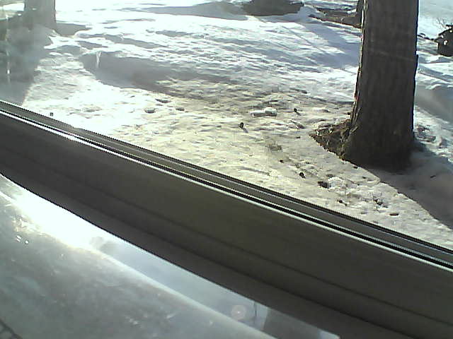 Whiteface Cam Image - Fri, 04/20/2018 7:10pm 