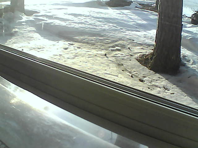 Whiteface Cam Image - Fri, 04/20/2018 7:20pm 