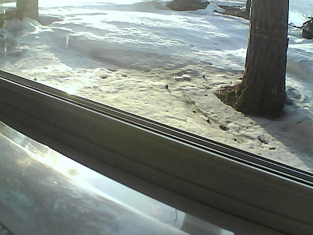 Whiteface Cam Image - Fri, 04/20/2018 7:30pm 