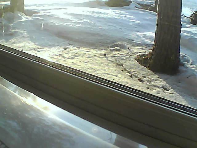 Whiteface Cam Image - Fri, 04/20/2018 7:40pm 