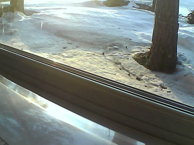 Whiteface Cam Image - Fri, 04/20/2018 7:50pm 