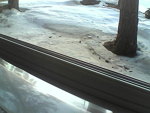 Whiteface Cam Image - Fri, 04/20/2018 8:10pm 