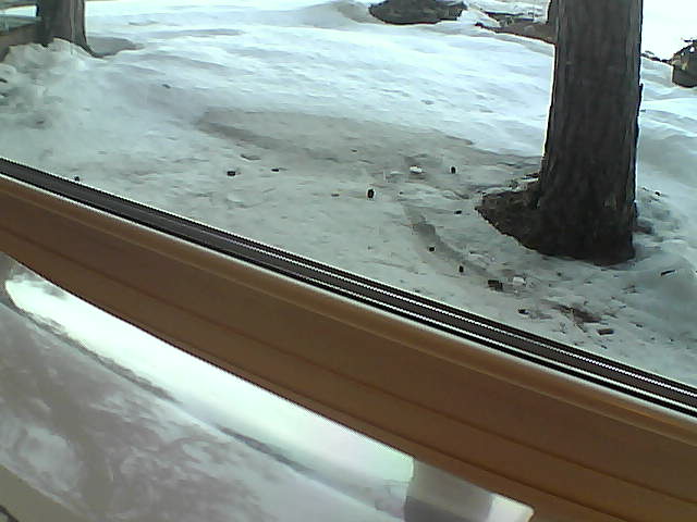 Whiteface Cam Image - Sat, 04/21/2018 6:40am 