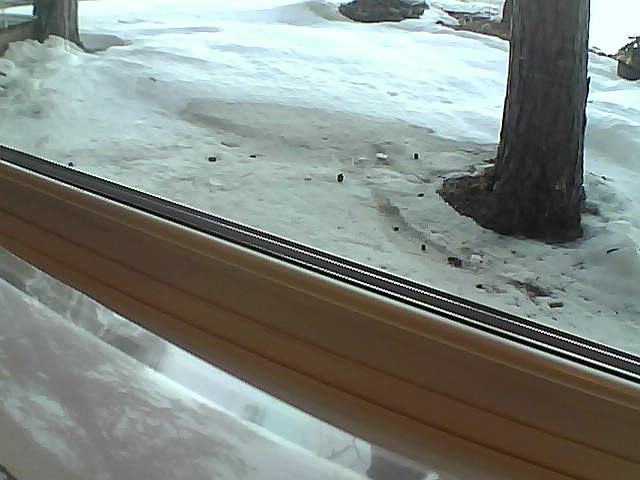 Whiteface Cam Image - Sat, 04/21/2018 6:50am 