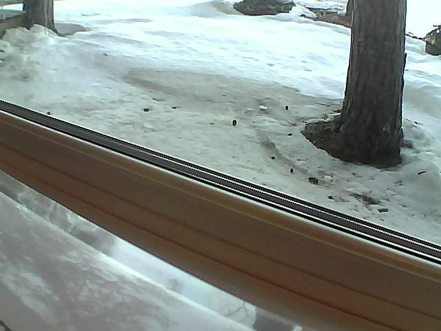 Whiteface Cam Image - Sat, 04/21/2018 7:00am 