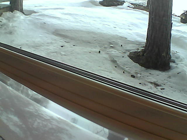 Whiteface Cam Image - Sat, 04/21/2018 7:20am 