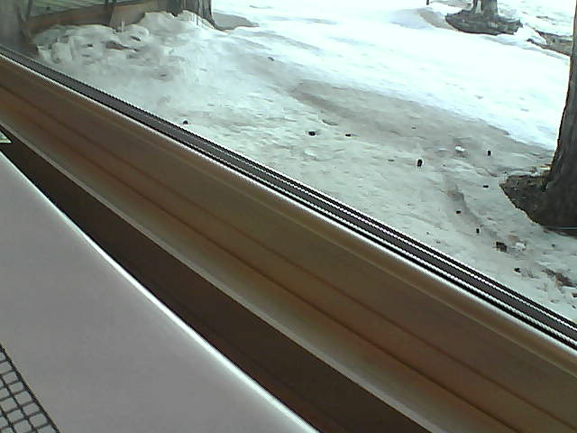 Whiteface Cam Image - Sat, 04/21/2018 7:30am 