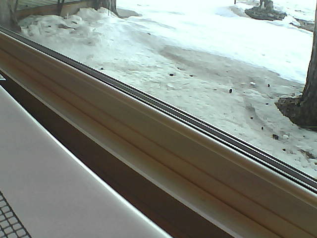 Whiteface Cam Image - Sat, 04/21/2018 7:40am 