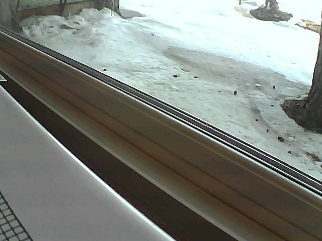 Whiteface Cam Image - Sat, 04/21/2018 8:30am 