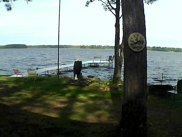 Whiteface Cam Image - Mon, 08/27/2018 10:42am 